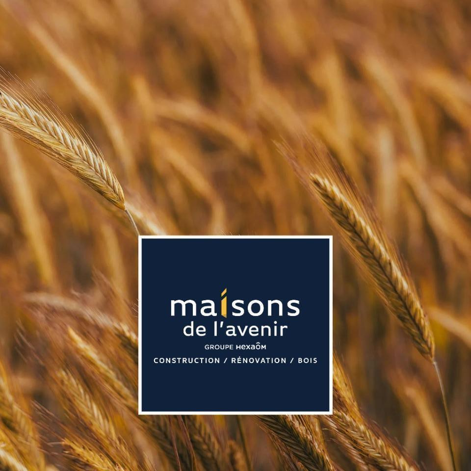 Maison à construire Malansac (56220) 12