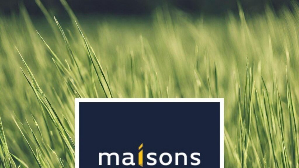 2184841-11341annonce1202506095wsoN.jpeg