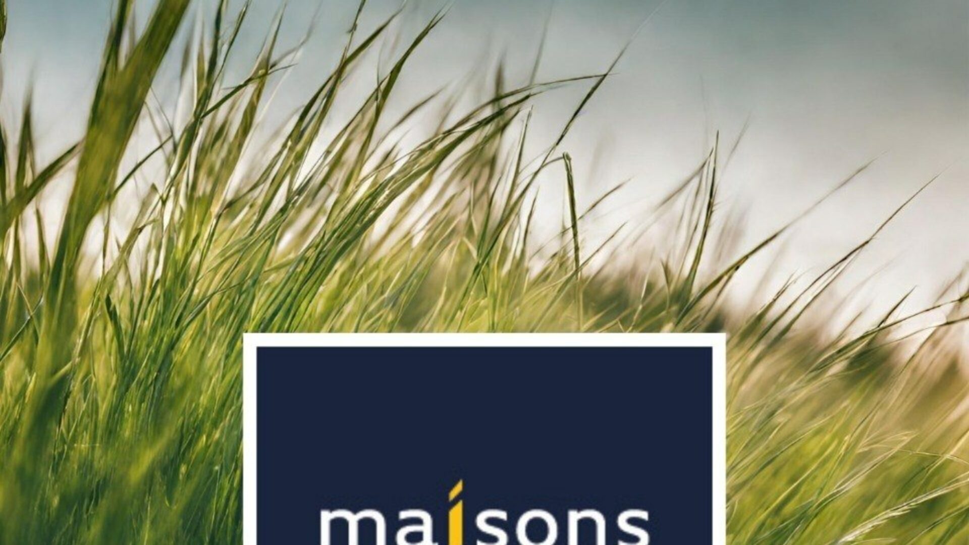 2211505-9391annonce120250702iM52Z.jpeg