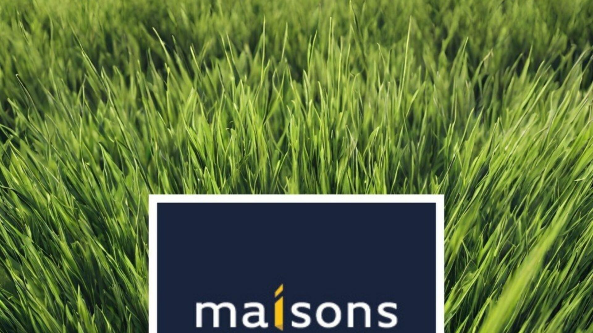 2223726-11348annonce120250715MRsIP.jpeg