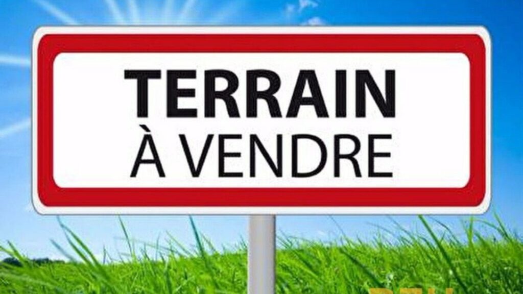 2248876-11578annonce120250822XH4sa.jpeg
